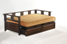 Load image into Gallery viewer, Hide and Seek Beds Teddy Roosevelt DBA-TER-COM